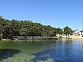 OIC iluka james mccusker park 5 lake 3