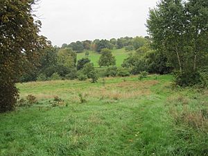 Oak Hill Wood meadow and Oak Hill Park