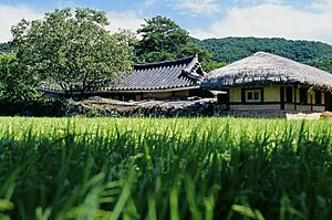 Oeam Folk Village, 2006 (1)