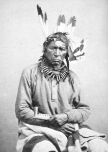 Ojibwa Chief
