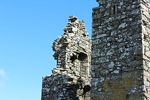 Plunton Castle (geograph 4888972)
