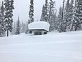 Powder at Powder King