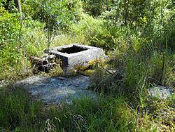 Remnant structure over the artesian spring, Ramsey Springs, Mississippi, 2010