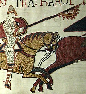 Raven banner (Bayeux Tapestry)
