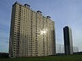 Red Road Tower Blocks, Glinting in the Sun - geograph.org.uk - 119977