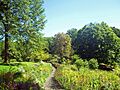 Reeves-Reed Arboretum