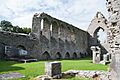 Roscommon St. Mary's Priory Nave as seen from the Transept 2014 08 28