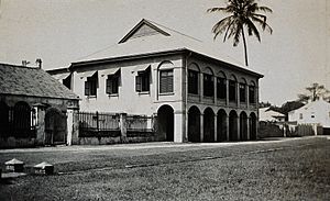 Senior Medical Officers' quarters in Bathurst, Gambia. Photo Wellcome V0029239