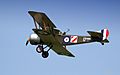Sopwith 1 2-1 Strutter-2006