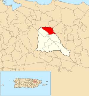 Location of St. Just within the municipality of Trujillo Alto shown in red