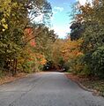 Sunnybrookpark -Fall (1)