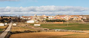 Viana de Duero, Soria, España, 2015-12-29, DD 61.JPG