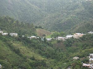 View from lookout in Orocovis, Puerto Rico