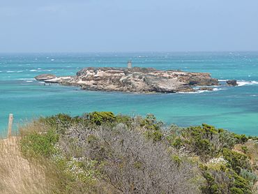View of Penguin Island from Cape Martin, South Australia.JPG