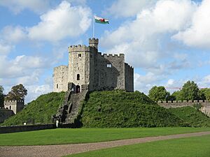 We'll keep the Red Dragon flying here^ - geograph.org.uk - 2104072