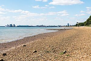 Weston Shore