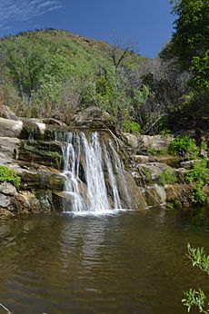 Wildhorse Creek Waterfall
