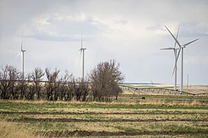 Wind turbines near near Fairfield, Montana, May 2022 (cropped)