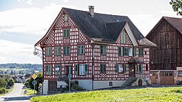 Wirtshaus Zum roten Öpfel, Hefenhofen (zu vermieten).jpg