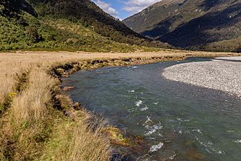 Young River, New Zealand 12.jpg