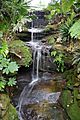 (1)Lisgar Gardens 051-waterfall