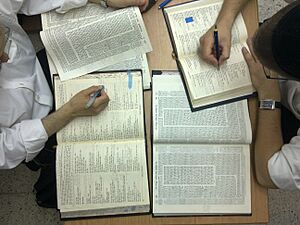 משנה סדורה - סיכום הגמרא - חברותא
