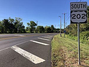 2022-09-02 09 43 01 View south along U.S. Route 202 (Lower York Road) at Rabbit Run Drive in New Hope, Bucks County, Pennsylvania
