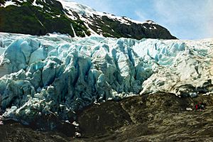 A051, Kenai Fjords National Park, Alaska, USA, Exit Glacier, 2002