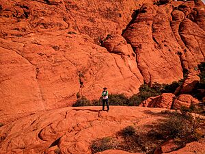 A hiker at Red Rock Canyon
