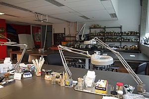 A laboratory at the Beaty Biodiversity Centre