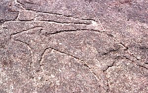 Aboriginal rock carvings, Terrey Hills, New South Wales, Sydney - Wiki0157