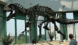 acrocanthosaurus skeleton