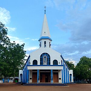 Alangara Annai Cathedral 1