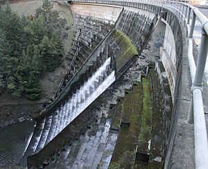 Alpine Dam 10156