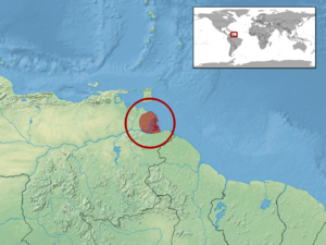 Amphisbaena gracilis distribution.png