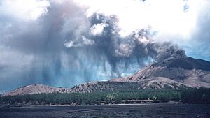 Ash Plume and Ash Fall of May 1994 Eruption of Mount Pagan volcano in Northern Mariana Islands