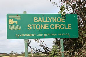 Ballynoe (16), September 2009