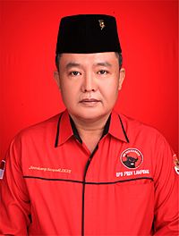 Bambang Suryadi, Member of the People's Representative Council.jpg