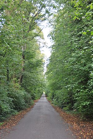 Bank Hall Carriage Drive Sept 2010