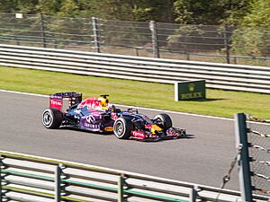 Belgian GP - Infiniti Red Bull Racing - Daniel Ricciardo (20244193814)