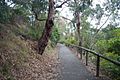 Belgrave rail trail