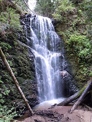 BerryCreekFalls