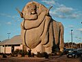 BigMerinoGoulburn