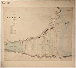Black Map Sumner Township 1849, 01