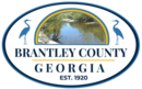 Official logo of Brantley County