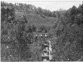 CarpRiverForgeMIc1907