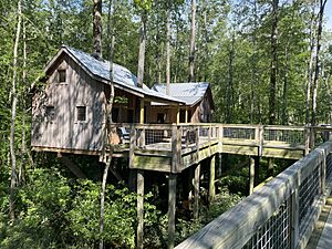 Cashie River Treehouses Windsor, NC, USA