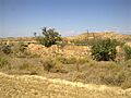 Castell de Vinfaro
