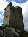 Castledonovan Castle - geograph.org.uk - 498649
