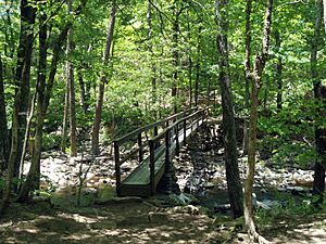 Cedar Falls Trail, Petit Jean State Park 005